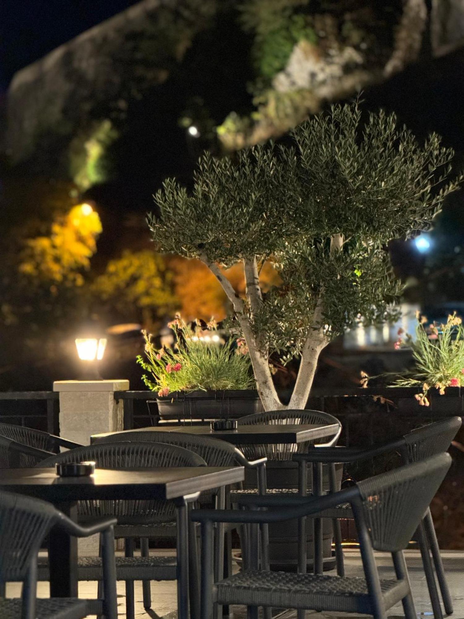 Castle Hotel Gjirokastër 外观 照片